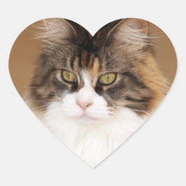 Fluffy Maine Coon Cat Hart Sticker