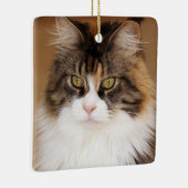Fluffy Maine Coon Cat Keramisch Ornament (Rechts)