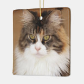 Fluffy Maine Coon Cat Keramisch Ornament (Links)