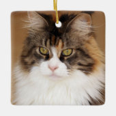 Fluffy Maine Coon Cat Keramisch Ornament (Voorkant)