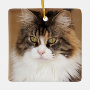 Fluffy Maine Coon Cat Keramisch Ornament