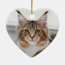 Fluffy Maine Coon Cat Keramisch Ornament