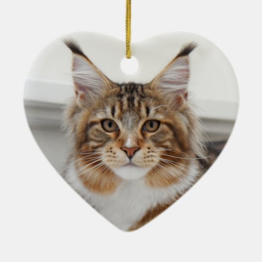 Fluffy Maine Coon Cat Keramisch Ornament (Achterkant)