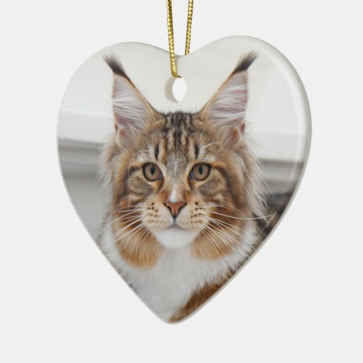 Fluffy Maine Coon Cat Keramisch Ornament (Links)