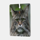 Fluffy Maine Coon Cat Metalen Ornament (Voorkant links)