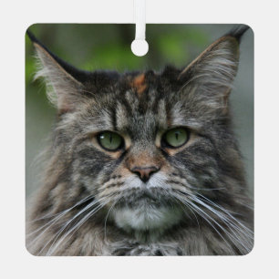 Fluffy Maine Coon Cat Metalen Ornament