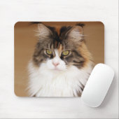 Fluffy Maine Coon Cat Muismat (Met muis)