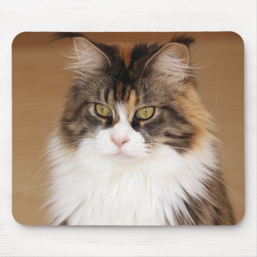 Fluffy Maine Coon Cat Muismat (Voorkant)