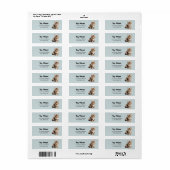 Fluffy Maine Coon Cat Retouradres Label (Full Sheet)