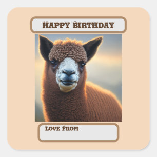 Fluffy Majesty: de grote wollige bruine alpaca Vierkante Sticker