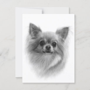 Fluffy Majesty - Met de Hand Geschilderd Chihuahua Briefkaart