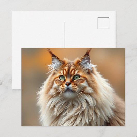 Fluffy Norwegian Forest Cat Portrait Briefkaart (Voorkant / Achterkant)