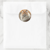 Fluffy Norwegian Forest Cat Portrait Ronde Sticker (Tas)