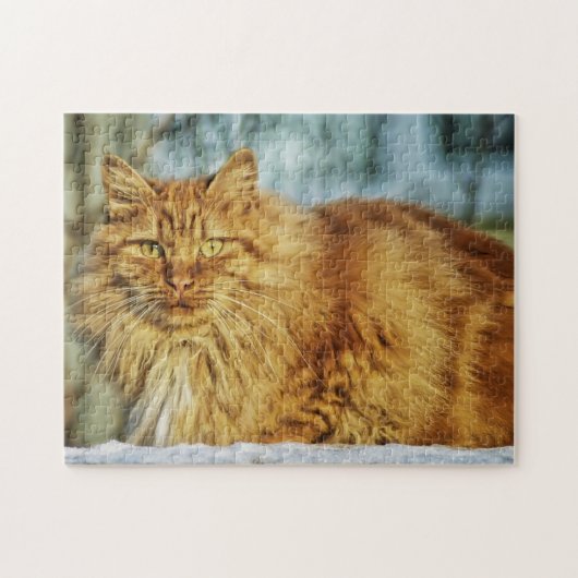 Fluffy Oranje tablet Maine Coon Cat Legpuzzel (Horizontaal)