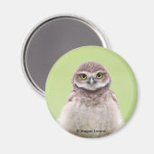 Fluffy Owlet Magnet (Voorkant / Achterkant)