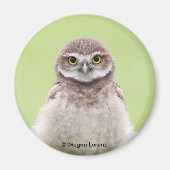 Fluffy Owlet Magnet (Voorkant)