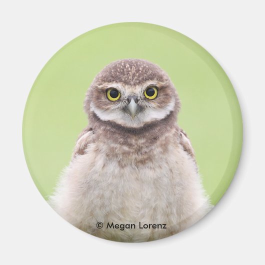 Fluffy Owlet Magnet (Voorkant)