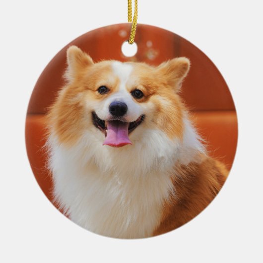 Fluffy Pembroke Welsh corgi Dog Keramisch Ornament (Voorkant)