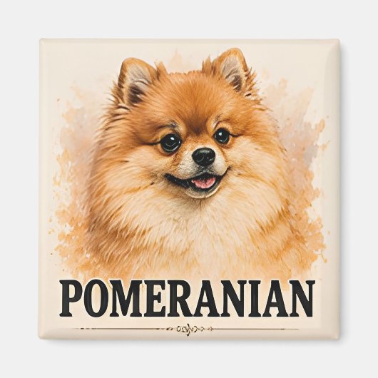 Fluffy Pomeranian-hond Liefhebber Cadeau Magneet (Voorkant)