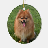 Fluffy Pomeranian Puppy Dog Keramisch Ornament (Links)