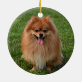 Fluffy Pomeranian Puppy Dog Keramisch Ornament (Achterkant)