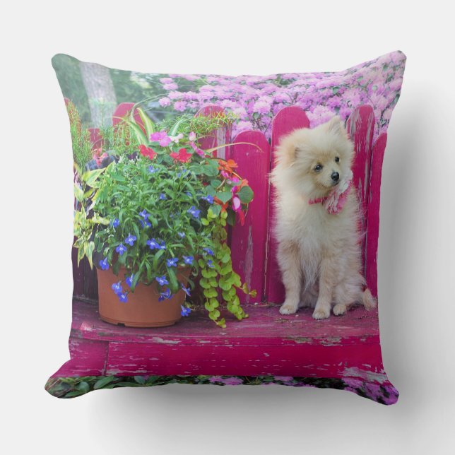 Fluffy Pommeranian Puppy Rustic Garden Bloemen Kussen (Voorkant)
