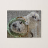 Fluffy Ragdoll Blue Eyed Kittens Legpuzzel (Horizontaal)