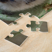 Fluffy Ragdoll Blue Eyed Kittens Legpuzzel (Zijkant)