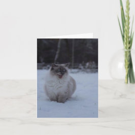 Fluffy Ragdoll Cat in het Sneeuw Wenskaart Kaart