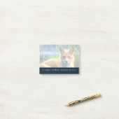 Fluffy Red Fox met Friendship Quote Post-it® Notes (Op bureau)