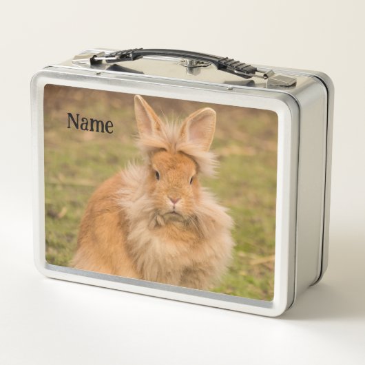 Fluffy Red Lionhead Bunny Rabbit (Achterkant)