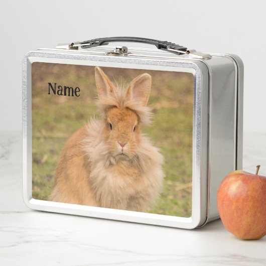Fluffy Red Lionhead Bunny Rabbit (In situ)