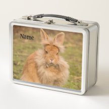 Fluffy Red Lionhead Bunny Rabbit