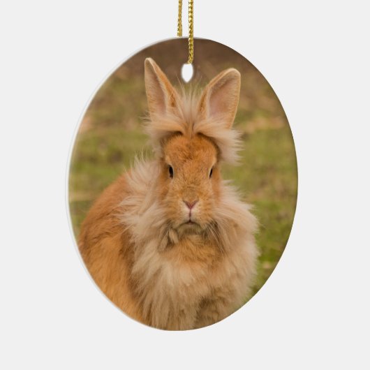 Fluffy Red Lionhead Bunny Rabbit Keramisch Ornament (Rechts)