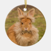 Fluffy Red Lionhead Bunny Rabbit Keramisch Ornament (Voorkant)