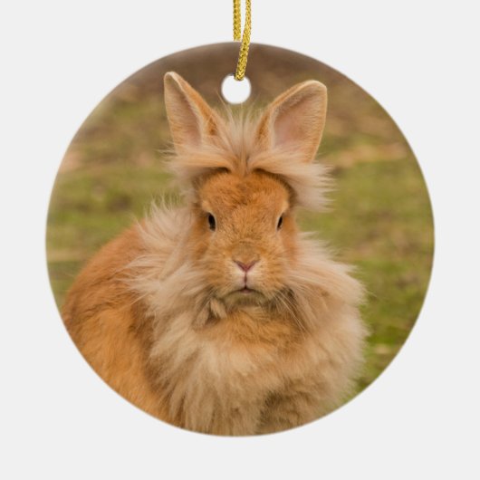 Fluffy Red Lionhead Bunny Rabbit Keramisch Ornament (Voorkant)