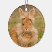 Fluffy Red Lionhead Bunny Rabbit Keramisch Ornament (Links)