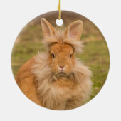 Fluffy Red Lionhead Bunny Rabbit Keramisch Ornament (Achterkant)