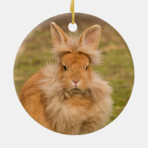 Fluffy Red Lionhead Bunny Rabbit Keramisch Ornament