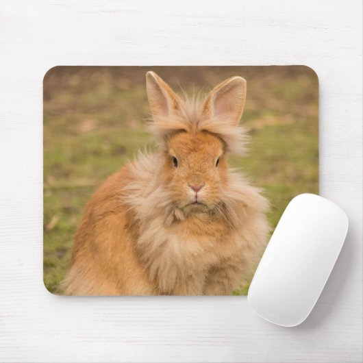 Fluffy Red Lionhead Bunny Rabbit Muismat (Met muis)