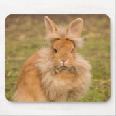 Fluffy Red Lionhead Bunny Rabbit Muismat (Voorkant)