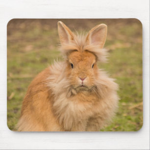 Fluffy Red Lionhead Bunny Rabbit Muismat