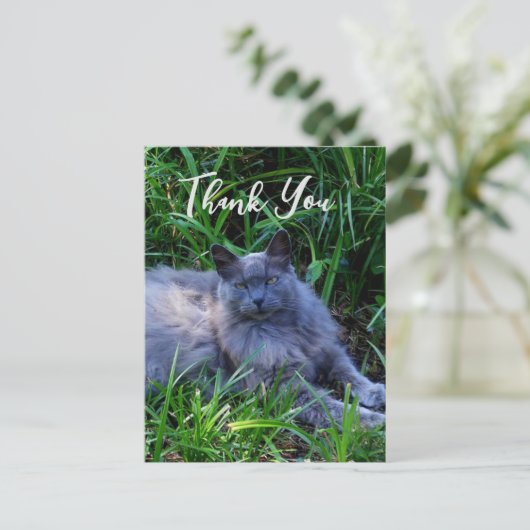 Fluffy Russian Blue Cat Hartelijk dank Briefkaart (Staand voorkant)
