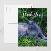 Fluffy Russian Blue Cat Hartelijk dank Briefkaart (Voorkant / Achterkant)