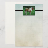 Fluffy Schattig dartmoor-Pony Briefpapier (Voorkant / Achterkant)