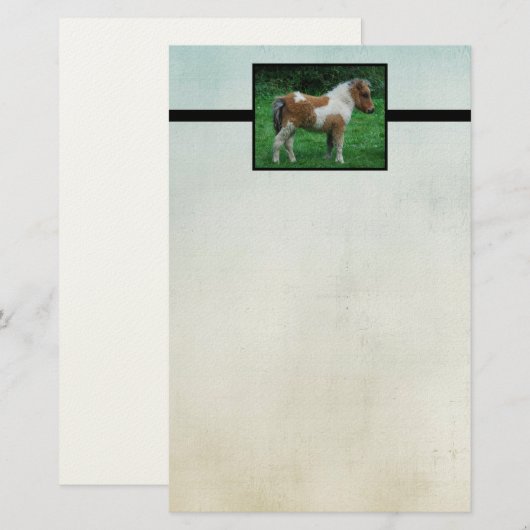 Fluffy Schattig dartmoor-Pony Briefpapier (Voorkant / Achterkant)