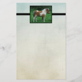 Fluffy Schattig dartmoor-Pony Briefpapier (Voorkant)