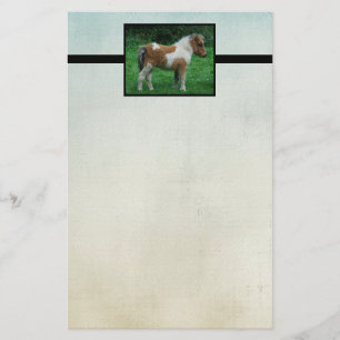 Fluffy Schattig dartmoor-Pony Briefpapier