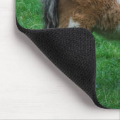 Fluffy Schattig dartmoor-Pony Muismat (Hoek)