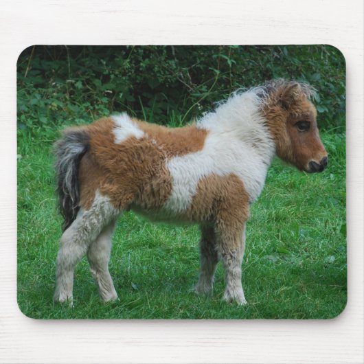 Fluffy Schattig dartmoor-Pony Muismat (Voorkant)